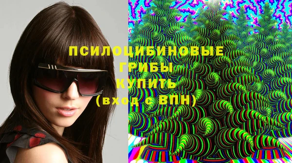 наркотики Белокуриха