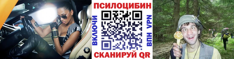 купить   Гусев  Галлюциногенные грибы Psilocybine cubensis 